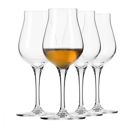 Avant Garde Crystal Drinking Glass Set