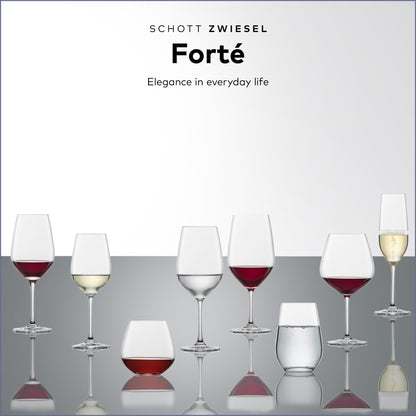 Forté Crystal Wine Glass Set